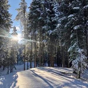 Meet your Posher, Roxane